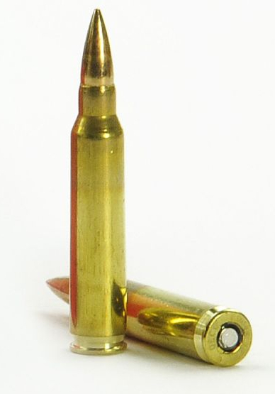 ammunition-223-Remington-FMJ-load.jpg