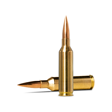 Патрон кал. 6.5 PRC, 143gr Golden Target HPBT