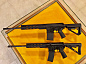 Anderson AM10-Hunter RF85