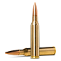 Патрон кал. 338 LAPUA MAG, 250 Norma Golden Target